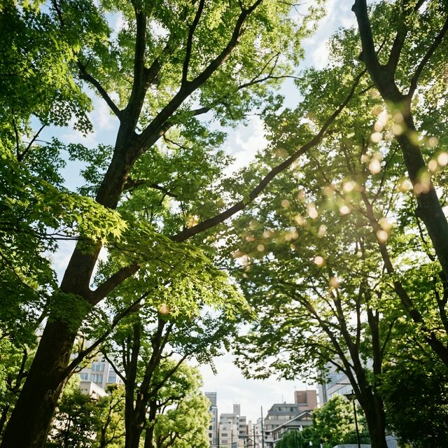翠司法書士事務所 仙台